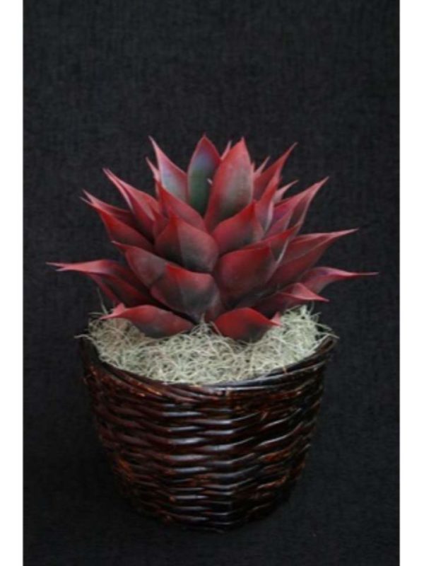 Rattan Tapered Planter Small 6" - Image 2