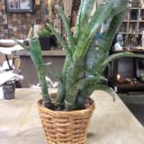 Rattan Tapered Planter Small 6" - Image 4