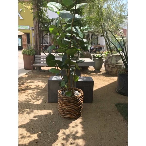 Tarsana Planter - Image 5