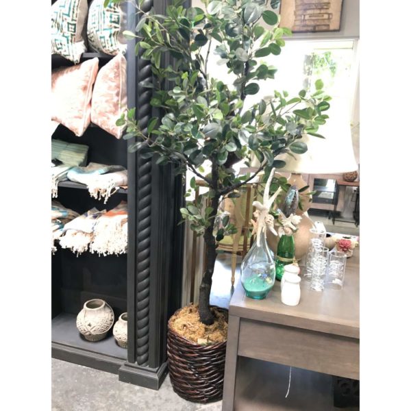 Tarsana Planter - Image 11