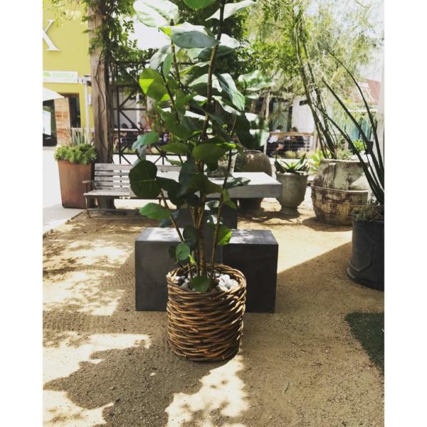 Tarsana Planter - Image 6